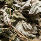 Kudzu Leaves & Roots for Isopods, Goats, Pets, Rabbits, and More.