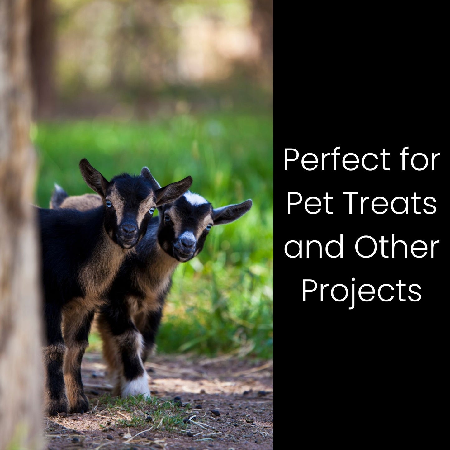 Kudzu Leaves & Roots for Isopods, Goats, Pets, Rabbits, and More.