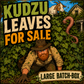 Kudzu Leaves & Roots for Isopods, Goats, Pets, Rabbits, and More.
