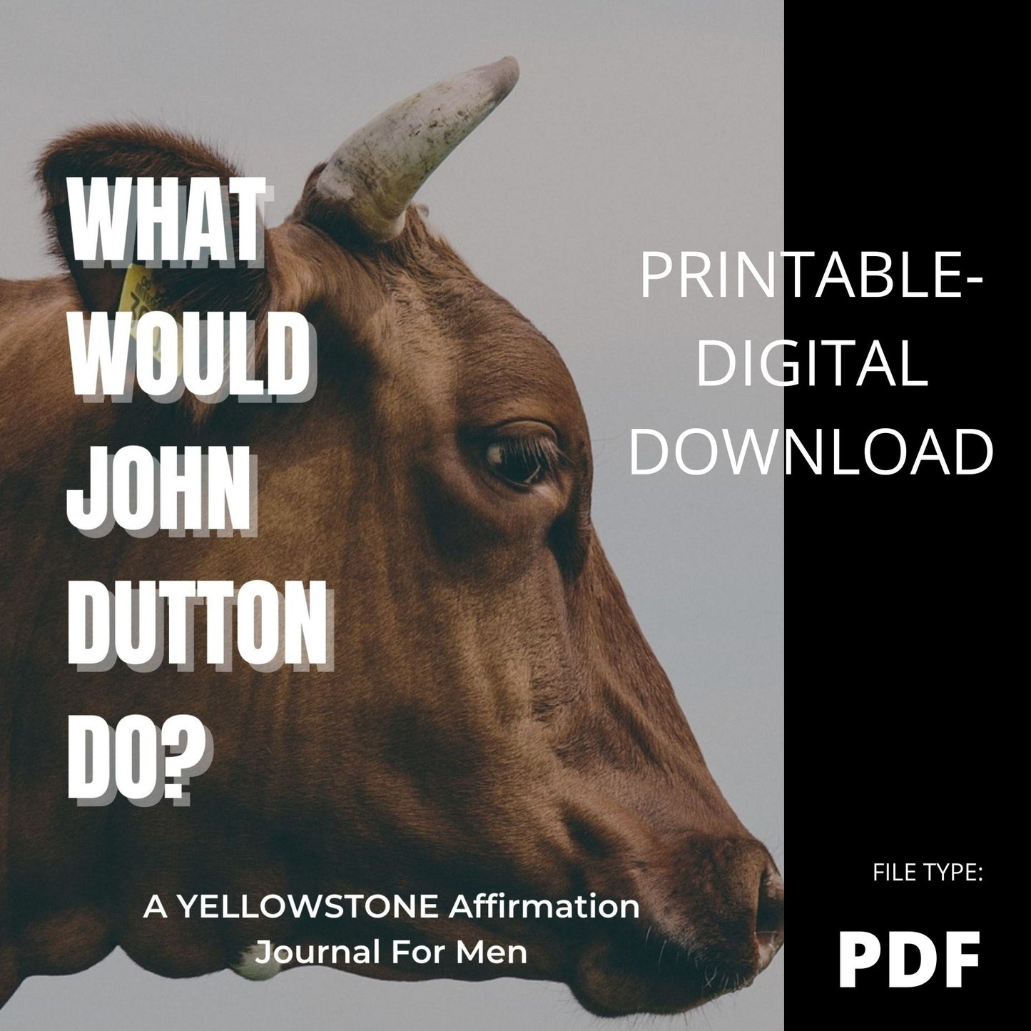 What Would John Dutton Do? A Yellowstone Affirmation Journal for Men